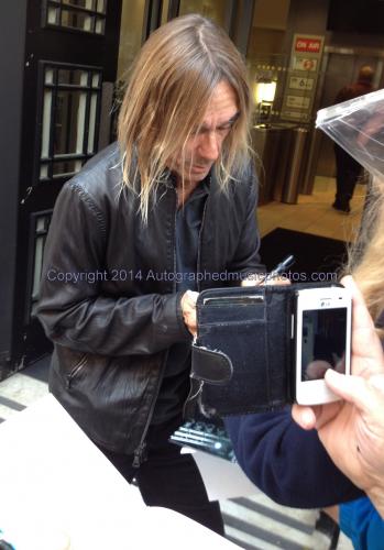iggy pop